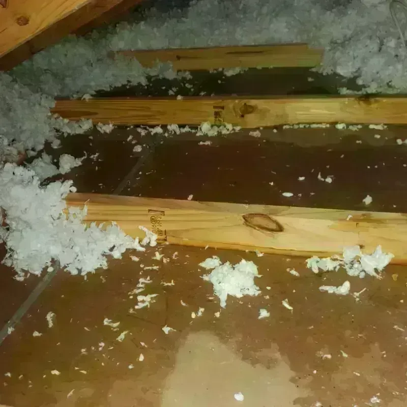 Attic Water Damage in Princeton, IL