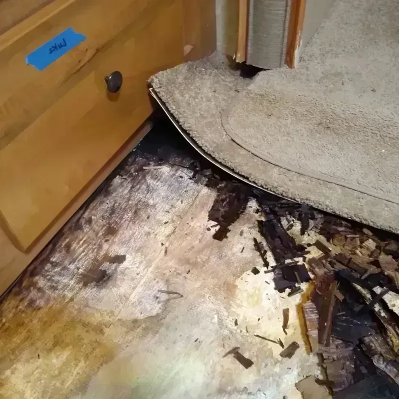 Wood Floor Water Damage in Princeton, IL